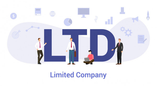 Private Limited Company Agency India